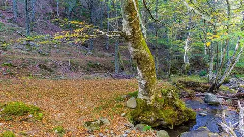 Javier Franco Abascal envía esta foto de “el arroyo Salvorón, que se funde con el Deva en la localidad de Pido” Para 'Destino Cantabria 2017'