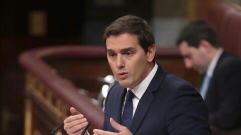 Albert Rivera
