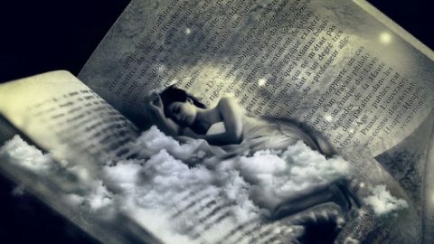 So&ntilde;ar con animales o con volar