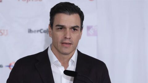Pedro S&aacute;nchez