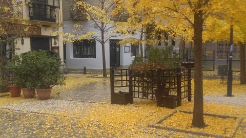 llega el oto&ntilde;o a Granada