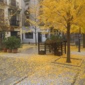 llega el otoño a Granada