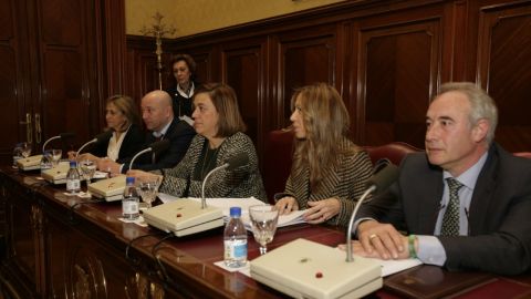 Pleno de la Diputaci&oacute;n de Palencia
