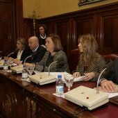 Presidencia del Pleno de la Diputación de Palencia