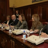 Presidencia del Pleno de la Diputación de Palencia Presidencia del Pleno de la Diputación de Palencia