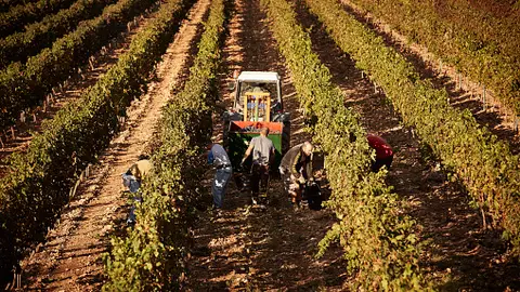 Trabajadores en el campo Trabajadores en el campo