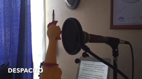 Pollo de goma cantando Despacito
