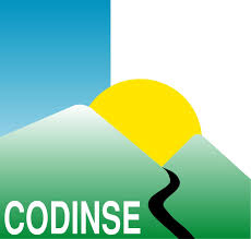 Entrevista a la responsable de CODINSE Entrevista a la responsable de CODINSE