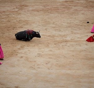 Imagen de una corrida de toros Imagen de una corrida de toros