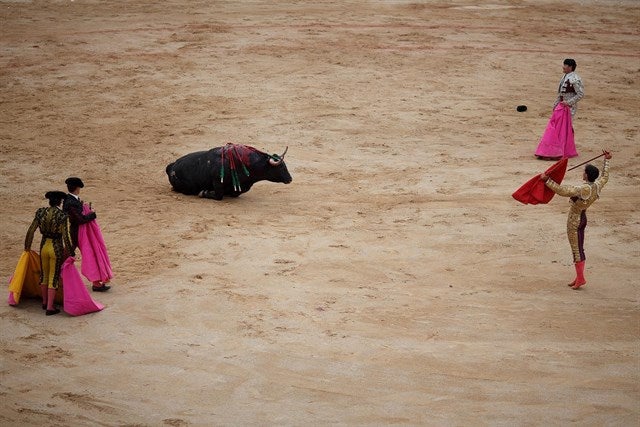 El Constitucional suspende cautelarmente la ley balear que prohíbe matar toros en las corridas El Constitucional suspende cautelarmente la ley balear que prohíbe matar toros en las corridas