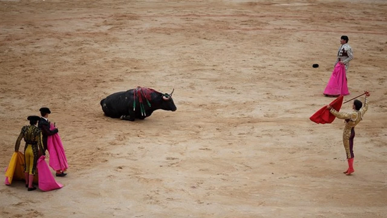 Imagen de una corrida de toros
