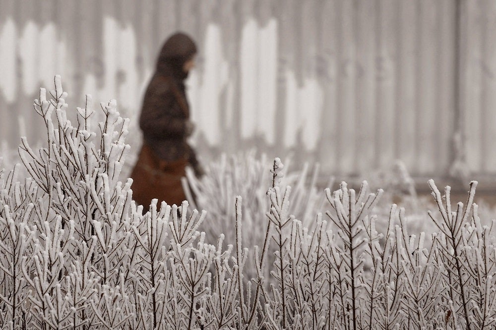 El invierno, que comienza será más cálido de lo normal tras el otoño más seco de este siglo El invierno, que comienza será más cálido de lo normal tras el otoño más seco de este siglo