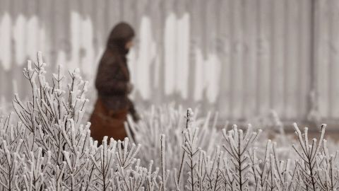 Una mujer camina por Valladolid, que presenta una imagen blanca por las heladas