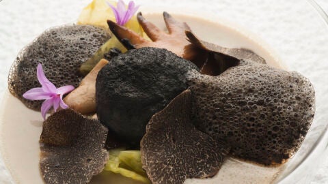La trufa con tembloroso de setas fermentadas y berza