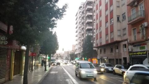 Calle Vicente Blasco Iba&ntilde;ez de Elche