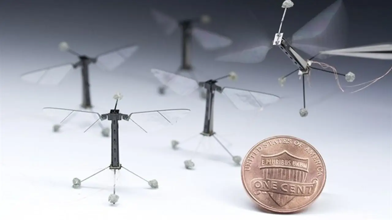 'Robots insecto' desarrollados por Harvard 'Robots insecto' desarrollados por Harvard
