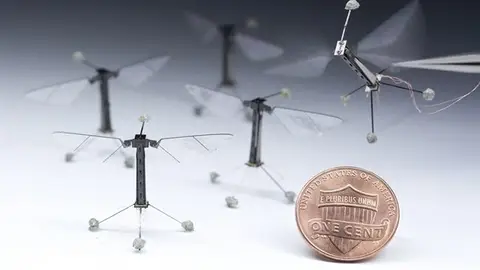 'Robots insecto' desarrollados por Harvard 'Robots insecto' desarrollados por Harvard