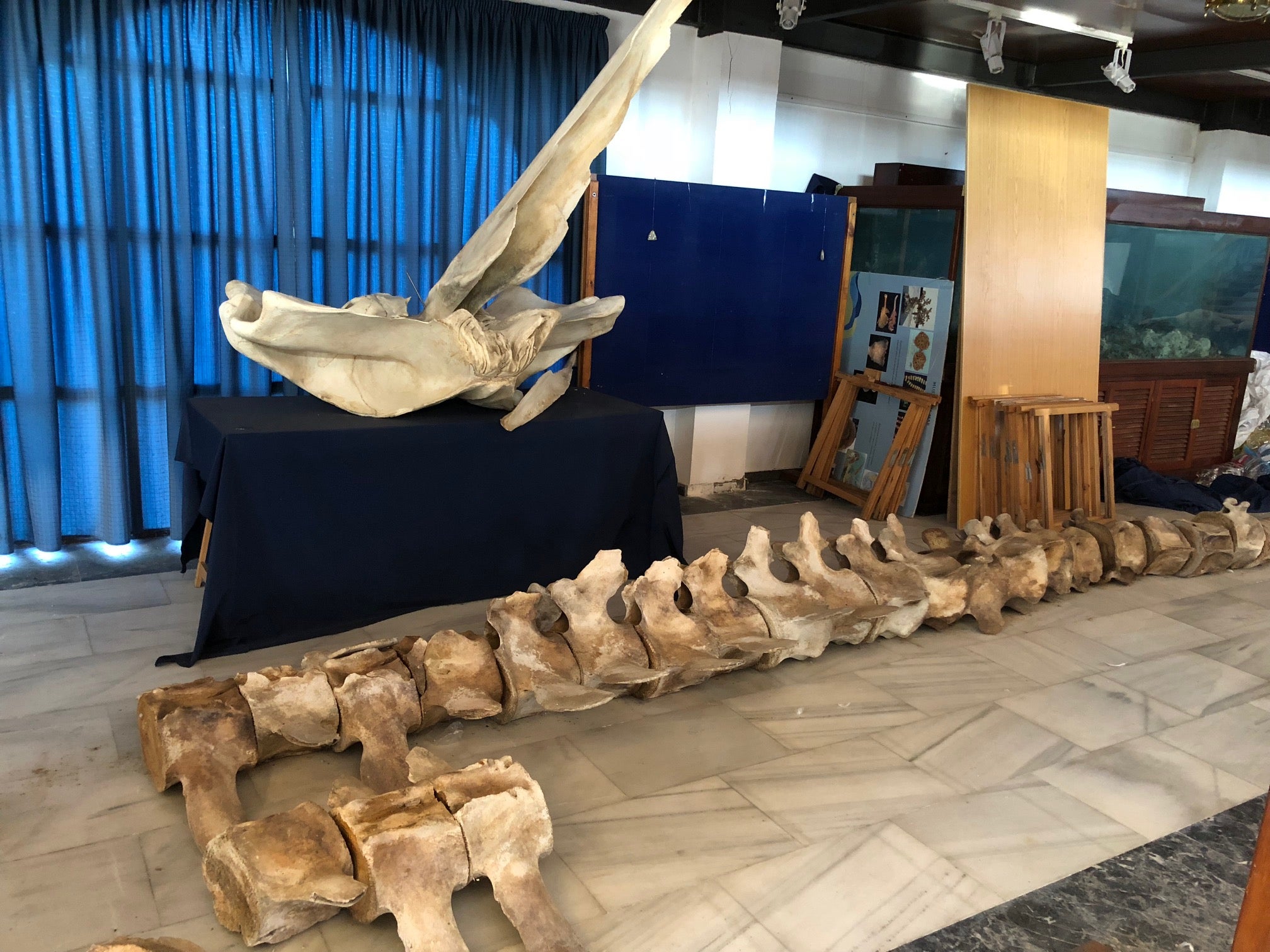 Ceuta en la Onda 15/12/17 Ceuta en la Onda 15/12/17