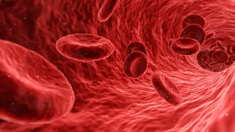 Foto ampliada de los glóbulos rojos de la sangre Foto ampliada de los glóbulos rojos de la sangre