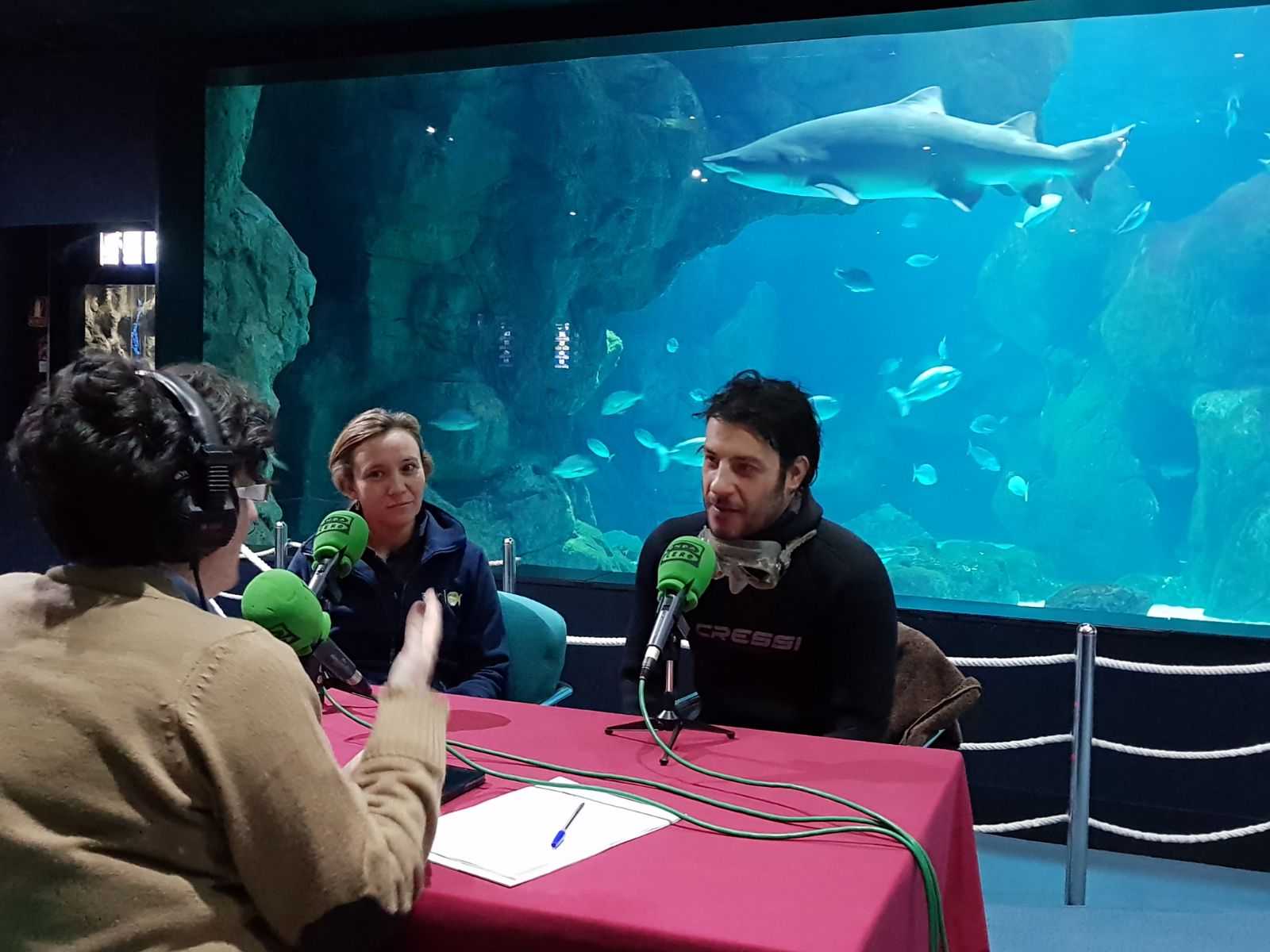 Gijón en la Onda 18/12/2017 con Ana Fierro Gijón en la Onda 18/12/2017 con Ana Fierro