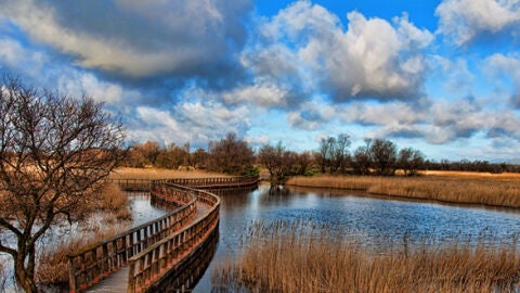 Parque Nacional de las Tablas de Daimiel