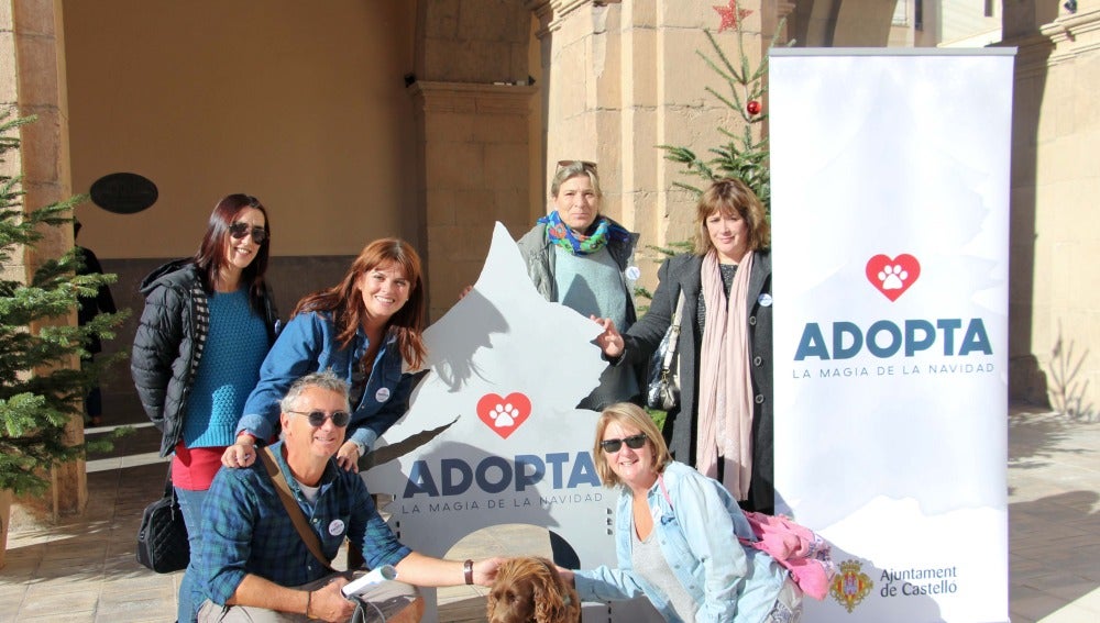Con la campaña animan a adoptar a los animales que siguen sin hogar. Con la campaña animan a adoptar a los animales que siguen sin hogar.