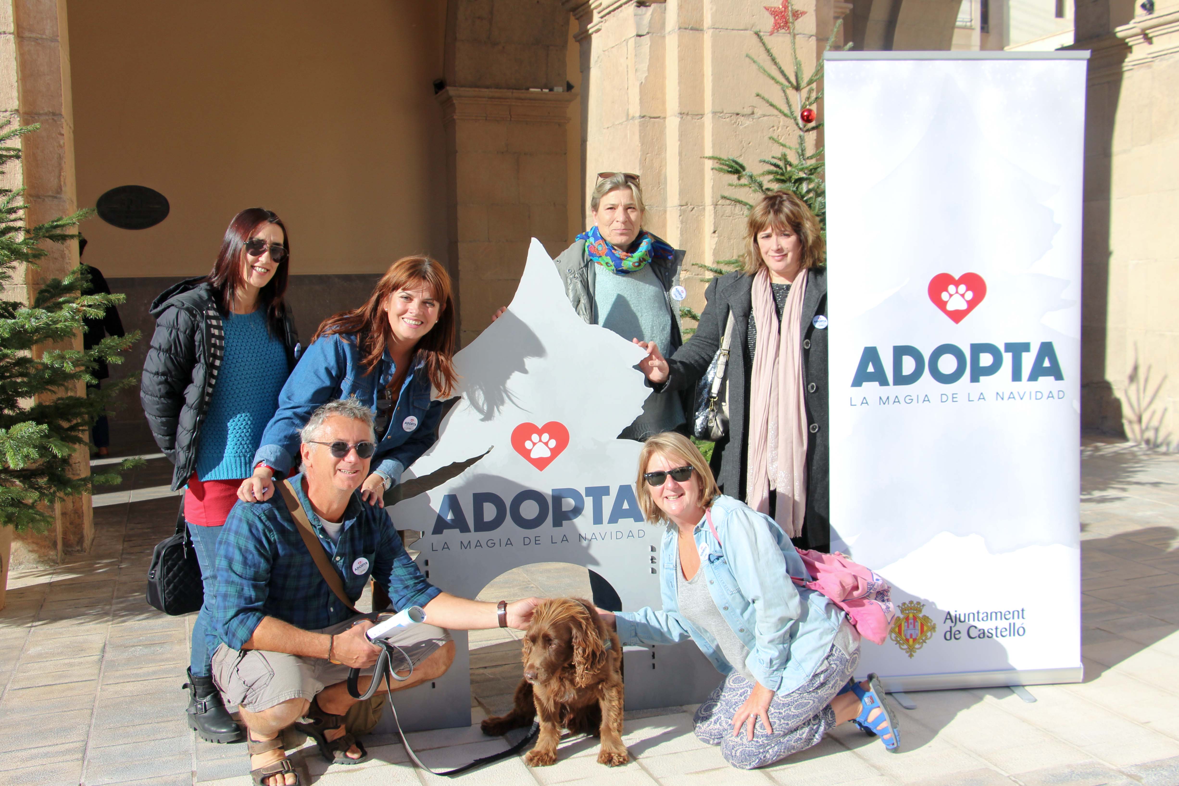 Castellón promueve una campaña social en favor de la adopción de mascotas en Navidad Castellón promueve una campaña social en favor de la adopción de mascotas en Navidad