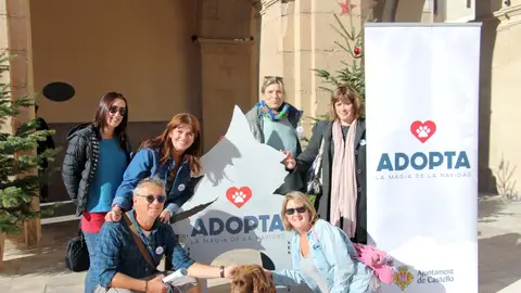 Con la campaña animan a adoptar a los animales que siguen sin hogar. ADOPCIÓN ANIMALES