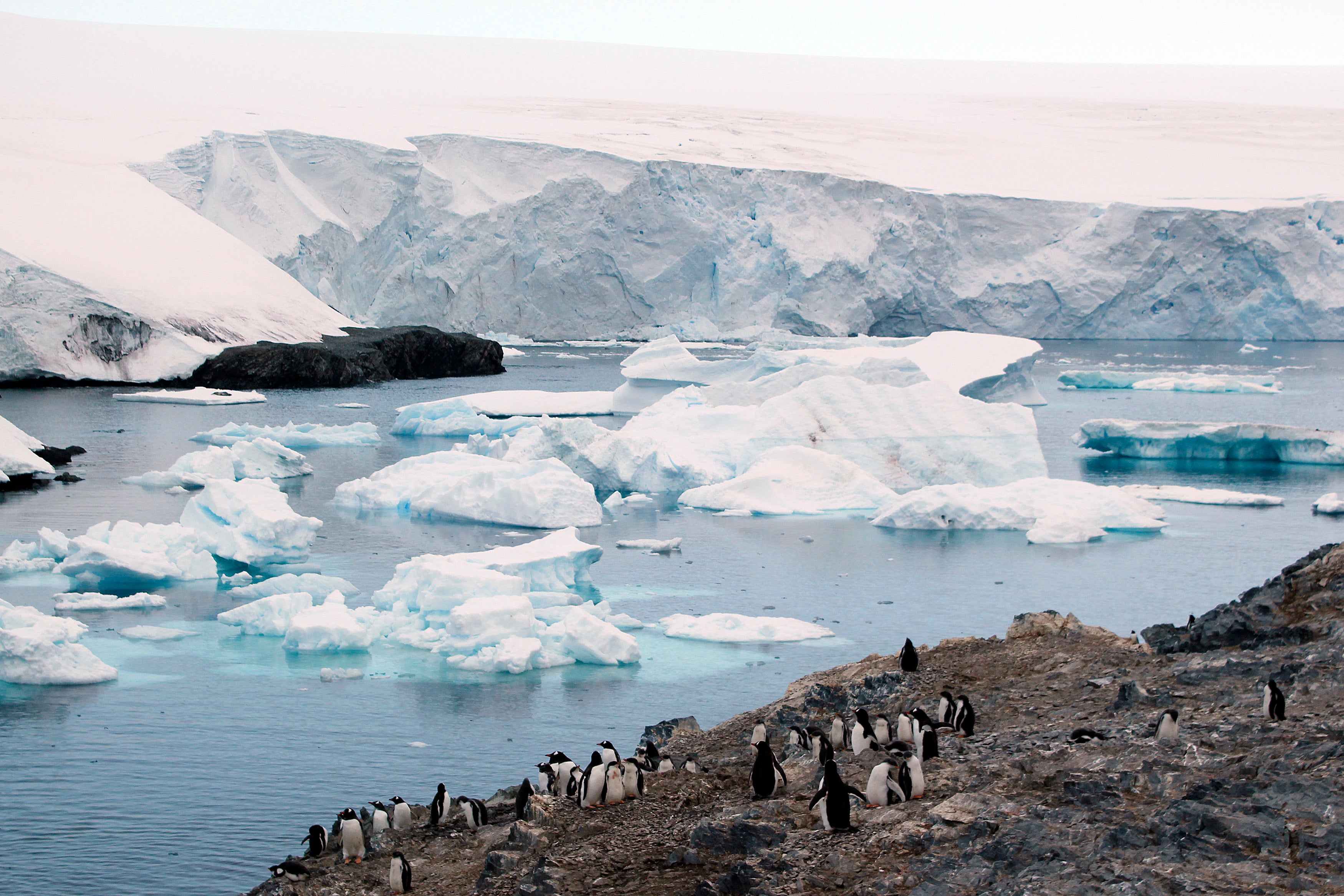 Descubrimos Isla Decepción: un volcán bajo el hielo de la Antártida Descubrimos Isla Decepción: un volcán bajo el hielo de la Antártida