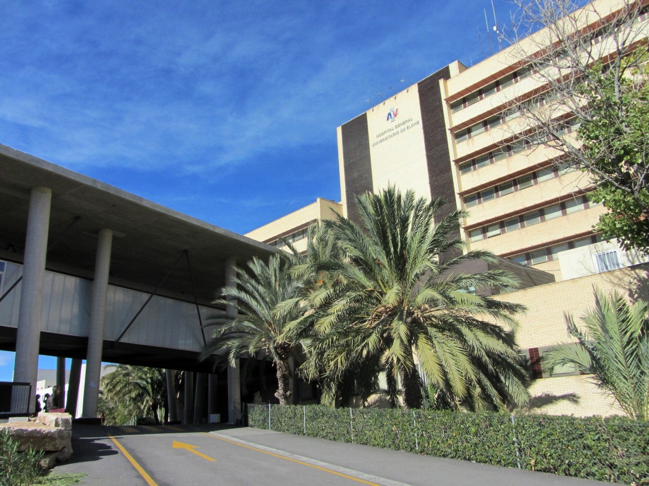 El Hospital General Universitario de Elche reduce los casos de tuberculosis un 70% desde 1991 El Hospital General Universitario de Elche reduce los casos de tuberculosis un 70% desde 1991