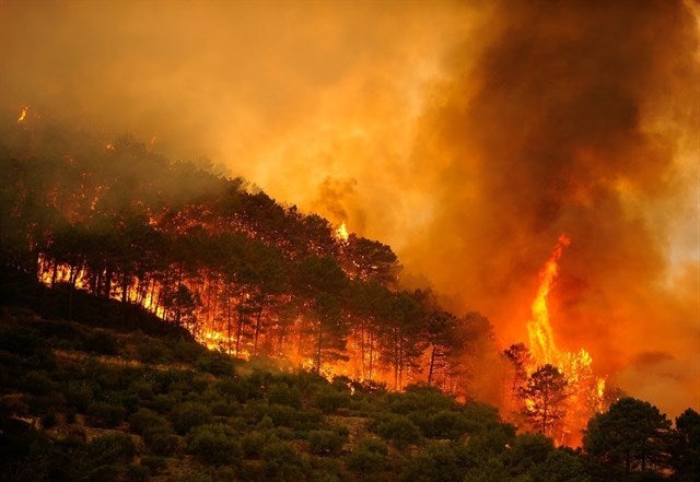 El Infoex intervenía en 17 incendios forestales durante la pasada semana El Infoex intervenía en 17 incendios forestales durante la pasada semana