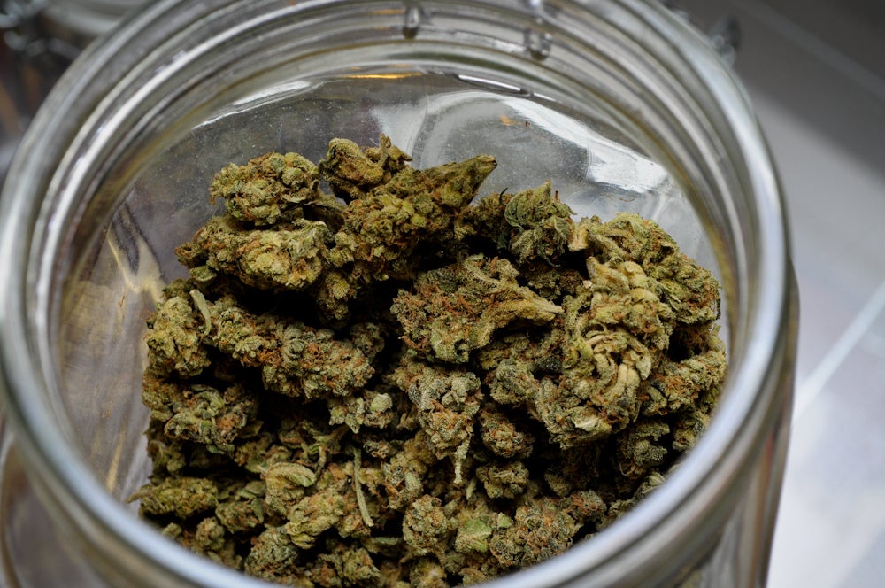 Manel Loureiro | Una abuela droga a su familia en Navidad al confundir la marihuana con especias Manel Loureiro | Una abuela droga a su familia en Navidad al confundir la marihuana con especias