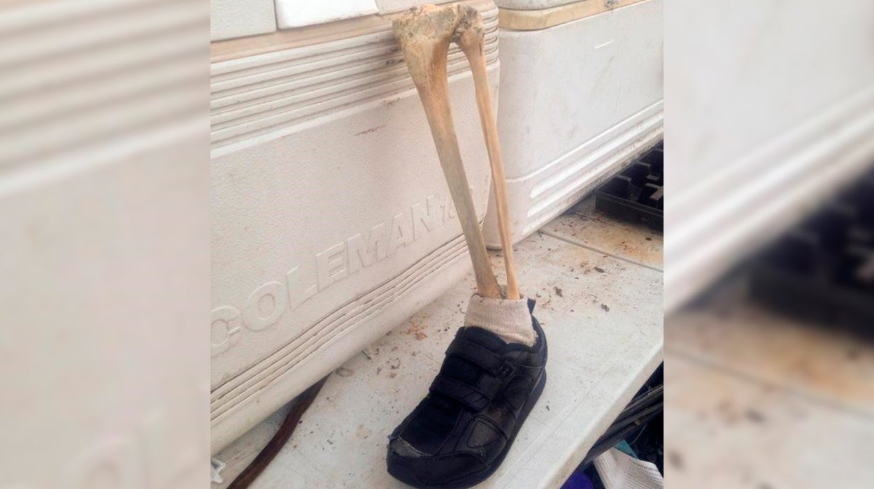 Manel Loureiro | Resuelto el misterio de la playa en Canadá donde aparecen pies humanos Manel Loureiro | Resuelto el misterio de la playa en Canadá donde aparecen pies humanos