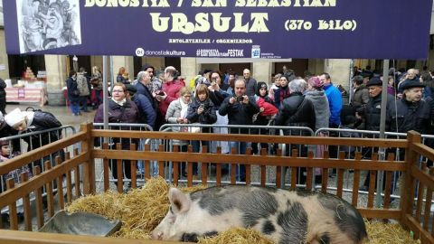 Santo tomas 2017 en San Sebasti&aacute;n. 
