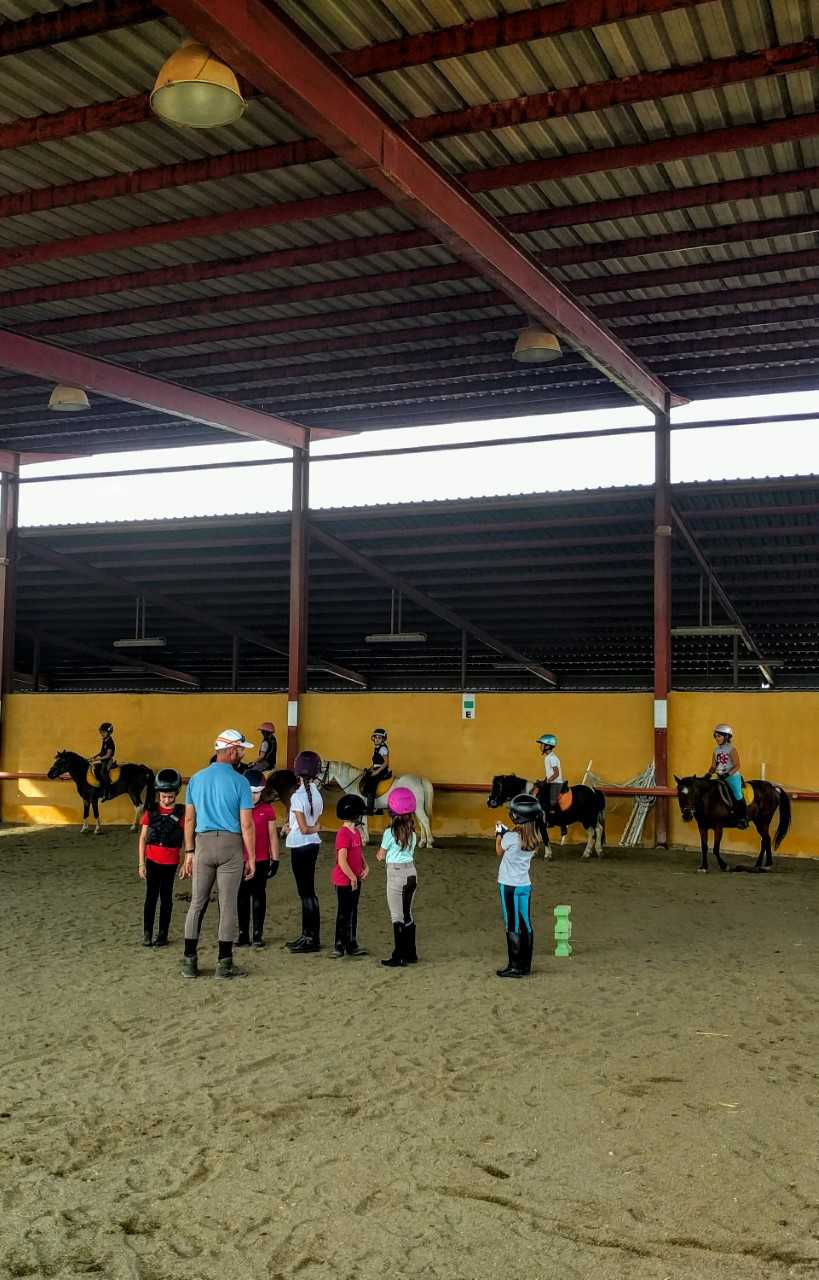 Últimas plazas para la escuela de equitación del Patronato de Deportes de Castellón Últimas plazas para la escuela de equitación del Patronato de Deportes de Castellón