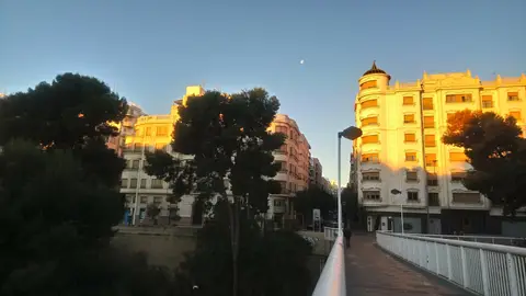 Elche. Cielos despejados