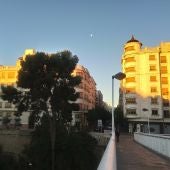 Elche.