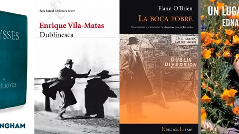 Dubín será nuestro destino lecturas en la maleta