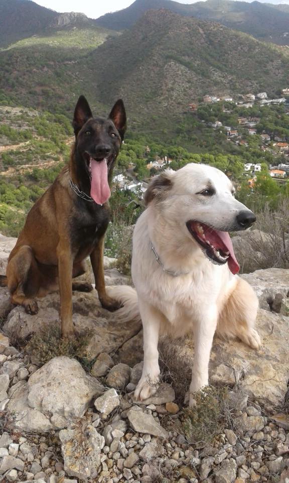 Pamplona en la Onda. 29/01/2018 Pamplona en la Onda. 29/01/2018