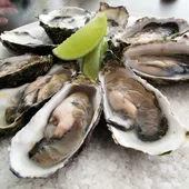 Ostras Ostras