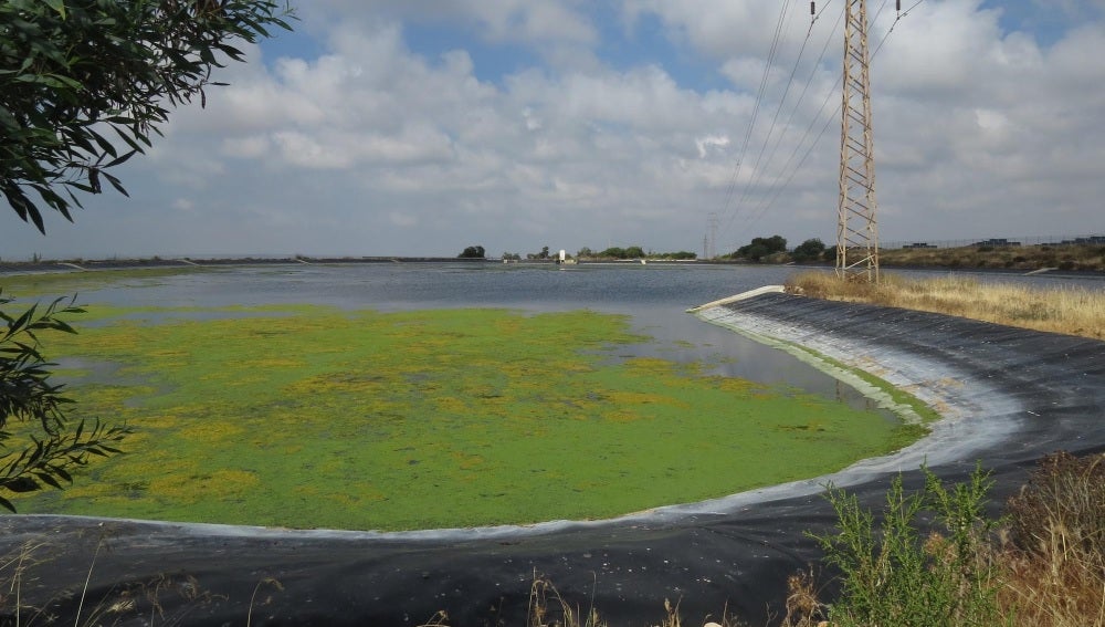 Una de las balsas de la estación depuradora de Santa Pola 