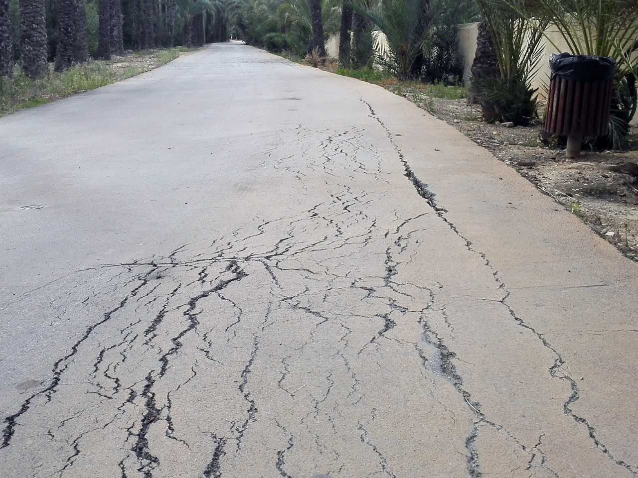 Ilicitanos por Elche pide mejorar el pavimento de la calle Beniardá y del camí de l’Almàssera Ilicitanos por Elche pide mejorar el pavimento de la calle Beniardá y del camí de l’Almàssera