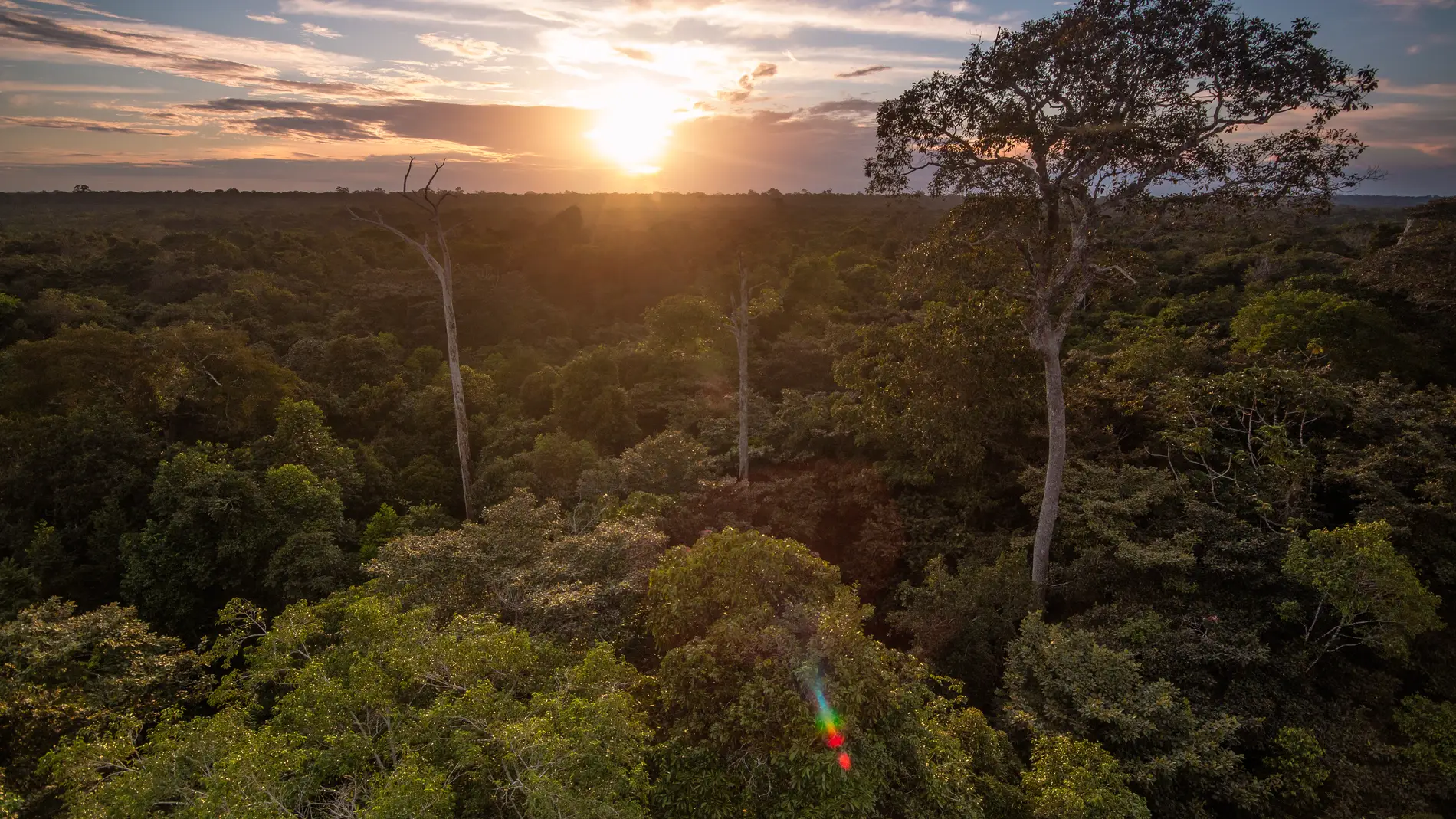 El Amazonas boliviano hacia la deforestacion