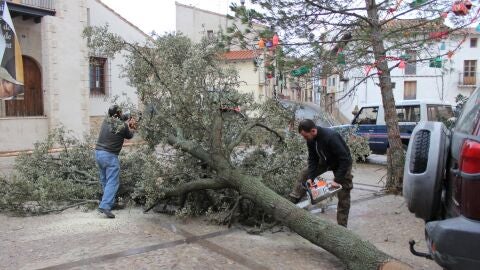 FIESTA SANT ANTONI