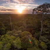 El Amazonas boliviano de camino a la deforestacion