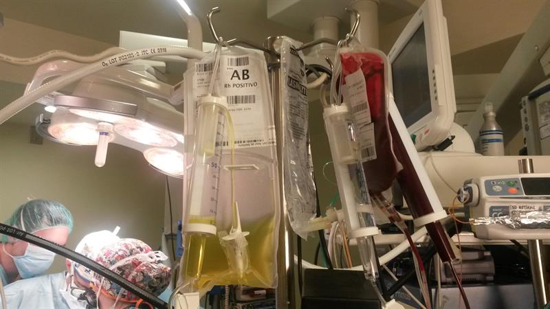 Carla, primer bebé español en recibir un corazón incompatible con su sangre Carla, primer bebé español en recibir un corazón incompatible con su sangre