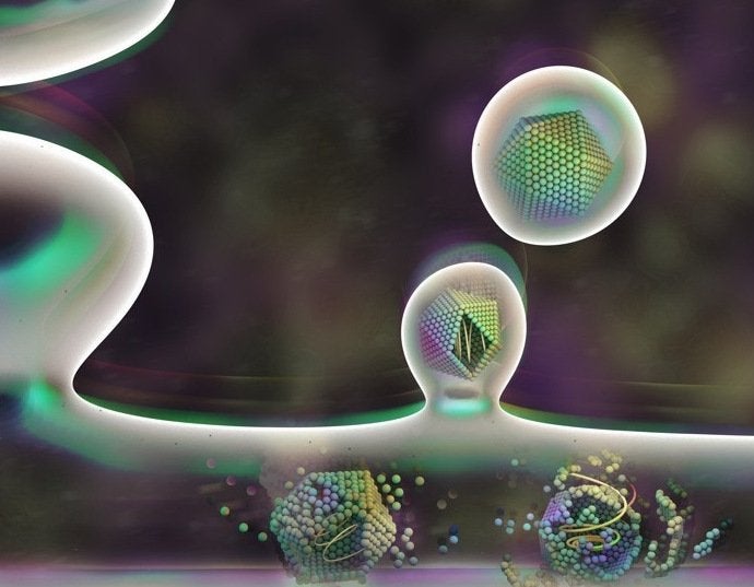 La Brújula de la ciencia: Cómo se comportan nuestras neuronas y cómo doman a los virus La Brújula de la ciencia: Cómo se comportan nuestras neuronas y cómo doman a los virus