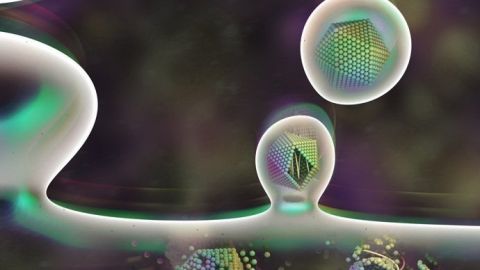 La Br&uacute;jula de la ciencia