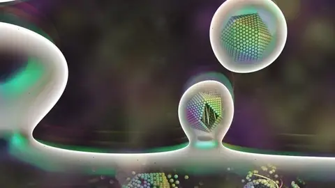 La Brújula de la ciencia La Brújula de la ciencia