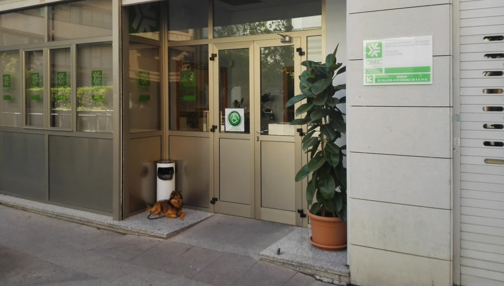 En marzo de 2017 el acceso de la OMIC presentaba una puerta de doble hoja En marzo de 2017 el acceso de la OMIC presentaba una puerta de doble hoja